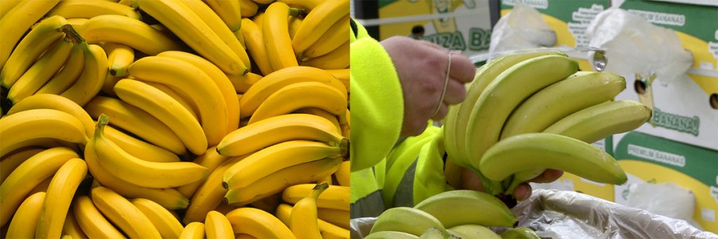 Работа в Польше. Специалист по контролю качества продукции фото