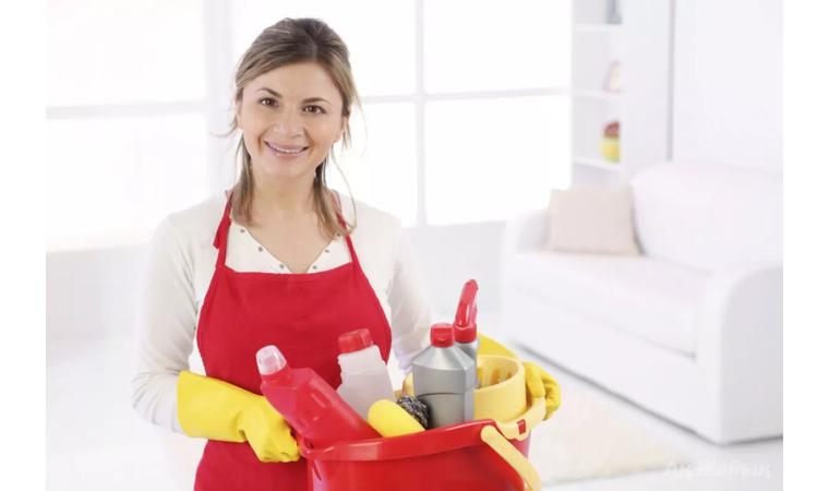 Девушка, срочно! Уборщица в Германии