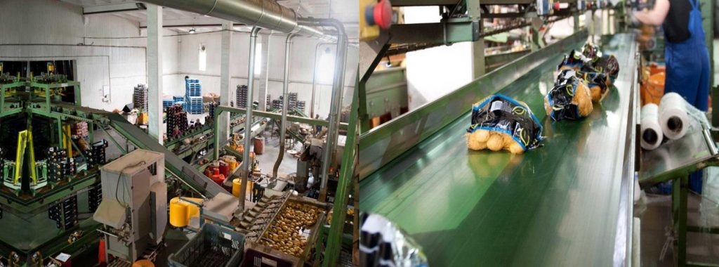 Работа для мужчин на заводе упаковки овощей в Польше