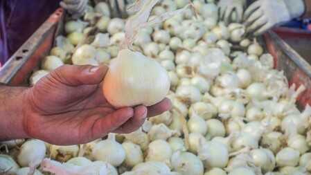 Обработка лука для KFC в Польше фото