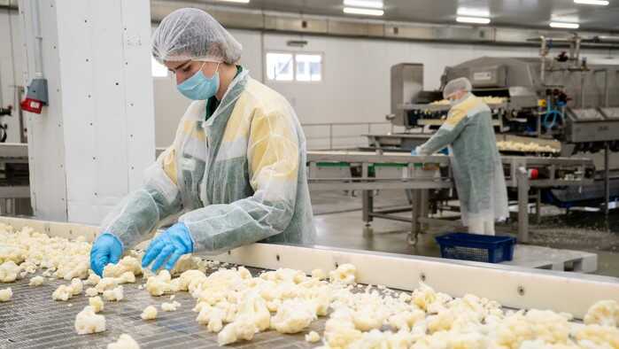 Работа на производстве свежемороженых овощей и фруктов в Польше фото