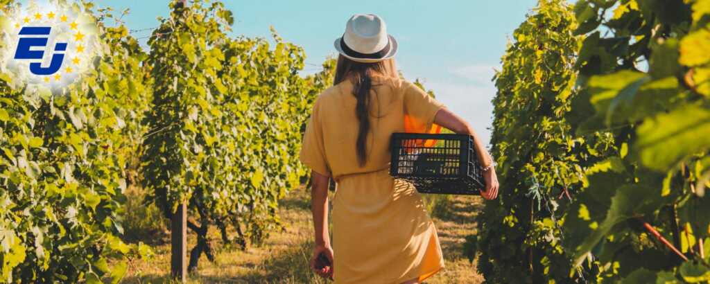 Сезонная работа Eurojob. Статья. фото